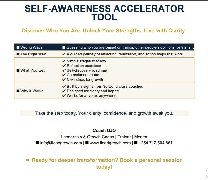 Self-awareness Accelerator Tool - Image 2